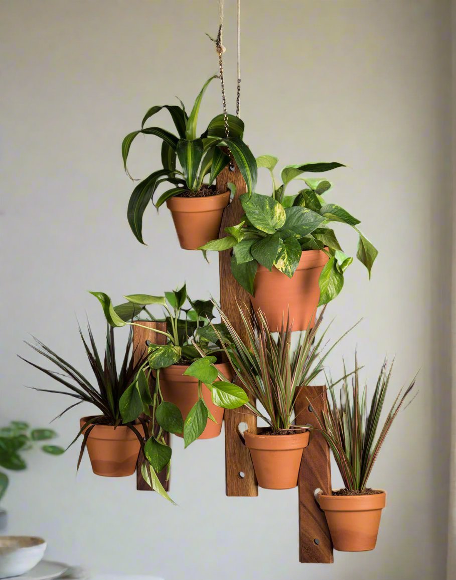 6 Pot Hanging Plant Holder - 3 piece set - crazyfinds.frDC - Kalmar Home6 Pot Hanging Plant Holder - 3 piece set